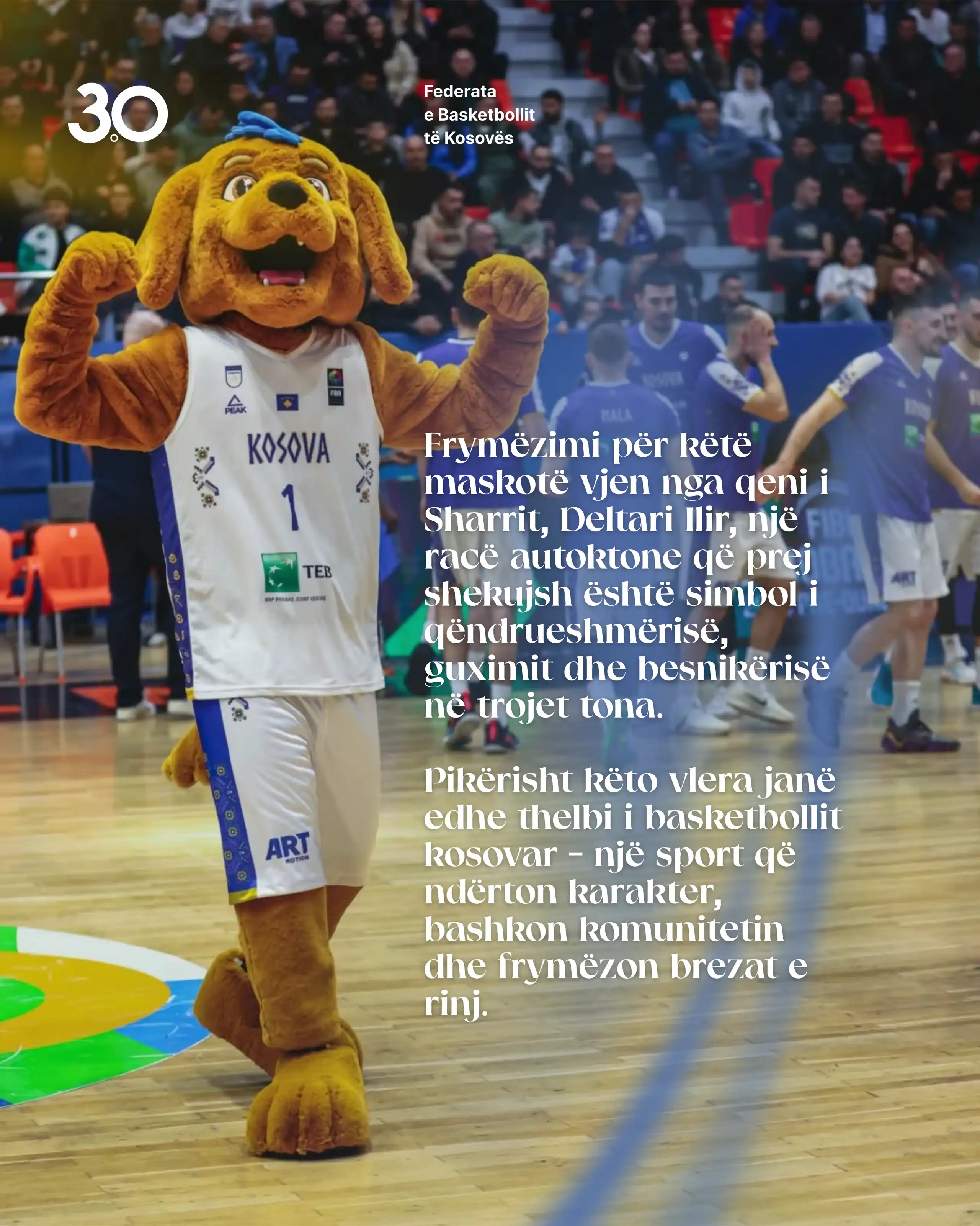 Prezantohet Maskota Dardi 